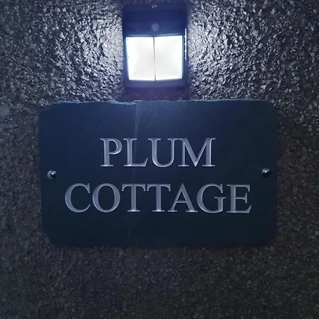 Plum Apartment