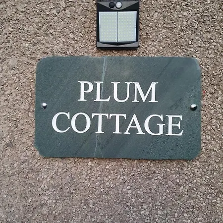 公寓 Plum 凯西克