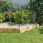 شقة Plum